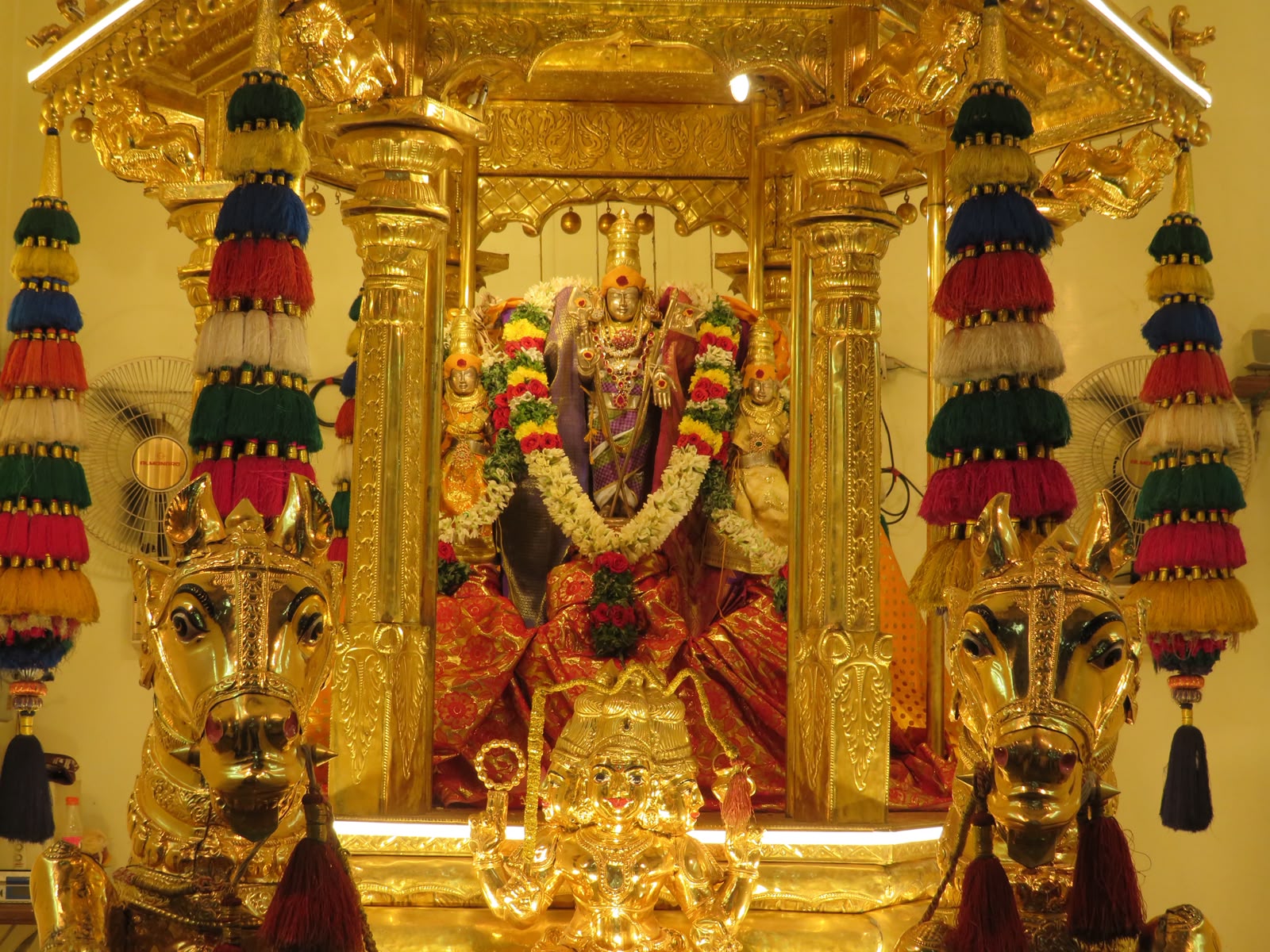 தங்கரத உலா